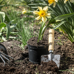 Horticulture
